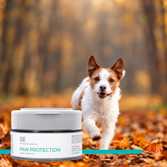 Unguent Vet Expert – Paw Protection pentru Protecția și Regenerarea Pernițelor – 75 ml